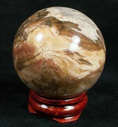 Colorful Petrified Wood Sphere #10720